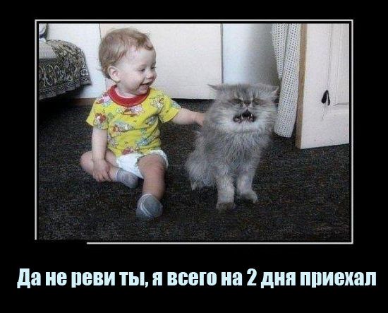 http://upforme.ru/uploads/000d/6b/61/4555/t809140.jpg