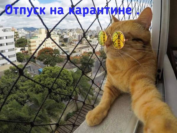 http://upforme.ru/uploads/000d/6b/61/4555/t812393.jpg