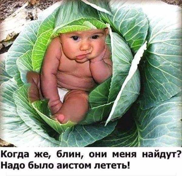 http://upforme.ru/uploads/000d/6b/61/4555/t821301.jpg