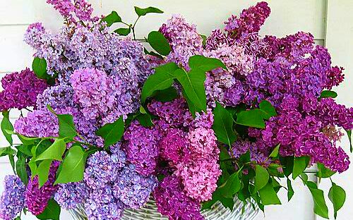 http://upforme.ru/uploads/000d/6b/61/4555/t830547.jpg
