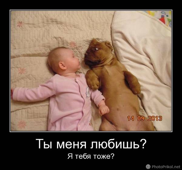 http://upforme.ru/uploads/000d/6b/61/4555/t842171.jpg