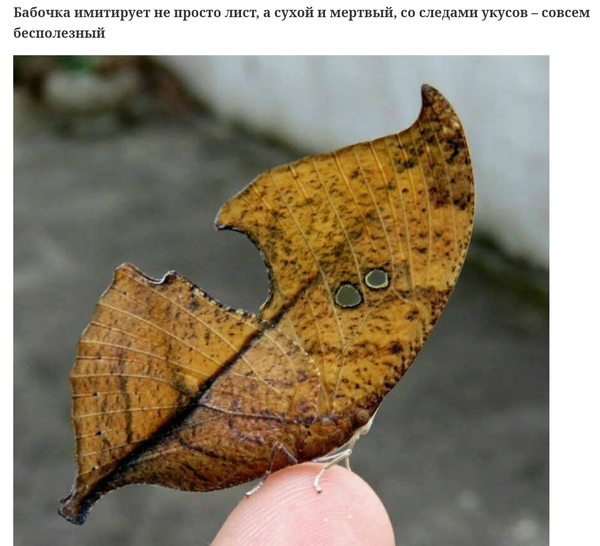 http://upforme.ru/uploads/000d/6b/61/4555/t853760.png