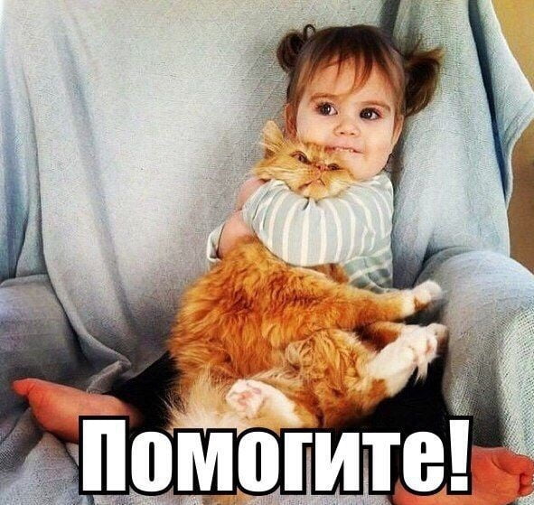 http://upforme.ru/uploads/000d/6b/61/4555/t862049.jpg