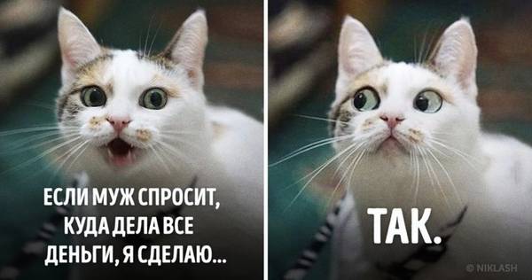 http://upforme.ru/uploads/000d/6b/61/4555/t878322.jpg