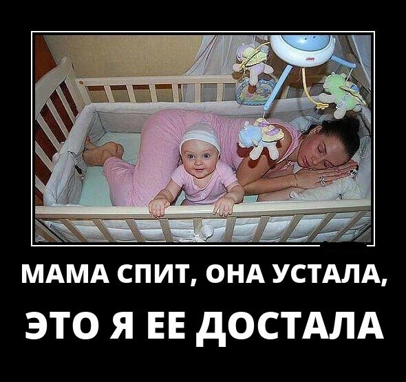 http://upforme.ru/uploads/000d/6b/61/4555/t88550.jpg