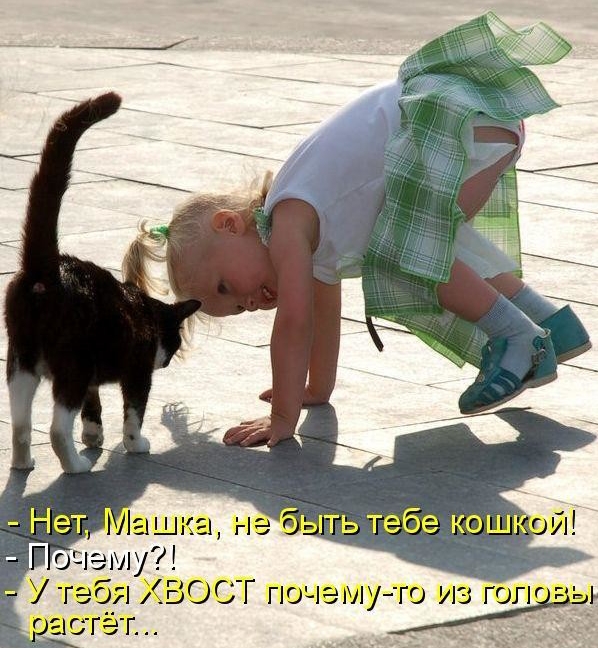 http://upforme.ru/uploads/000d/6b/61/4555/t89019.jpg