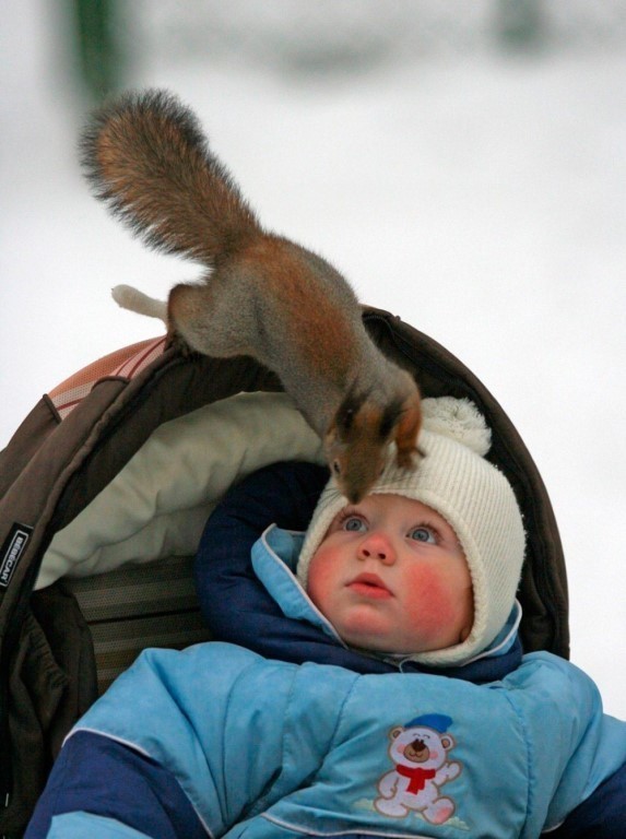 http://upforme.ru/uploads/000d/6b/61/4555/t911203.jpg