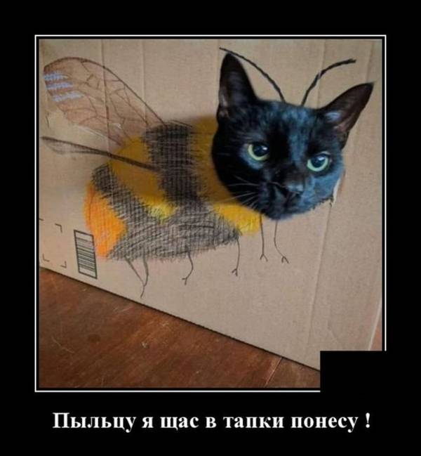 http://upforme.ru/uploads/000d/6b/61/4555/t921339.jpg