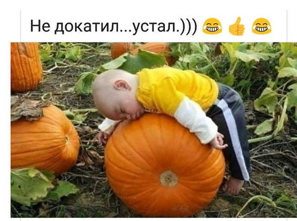 http://upforme.ru/uploads/000d/6b/61/4555/t925815.jpg