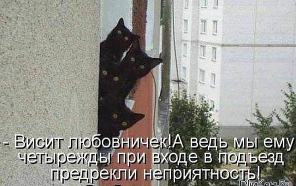 http://upforme.ru/uploads/000d/6b/61/4555/t943534.jpg
