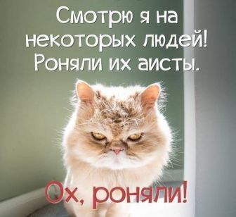 http://upforme.ru/uploads/000d/6b/61/4555/t968269.jpg