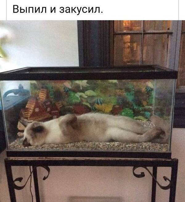 http://upforme.ru/uploads/000d/6b/61/4555/t981745.jpg