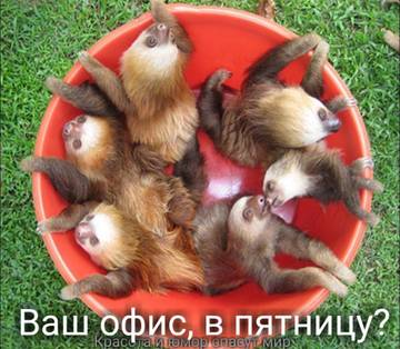 http://upforme.ru/uploads/000d/6b/61/4555/t982105.jpg