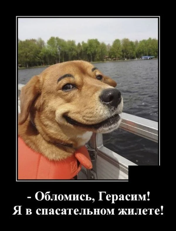 http://upforme.ru/uploads/000d/6b/61/4555/t986883.webp