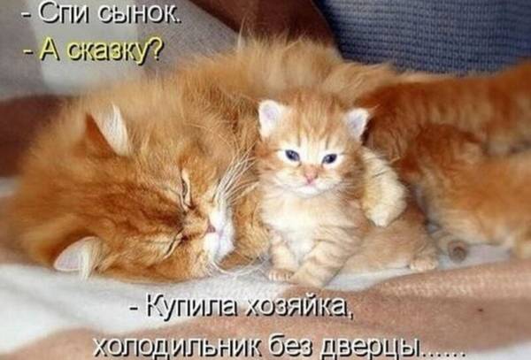 http://upforme.ru/uploads/000d/6b/61/4555/t992316.jpg