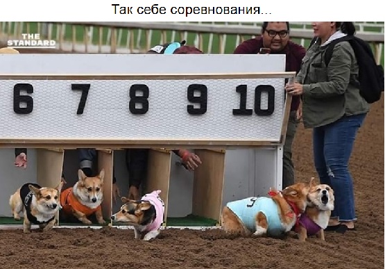 http://upforme.ru/uploads/000d/6b/61/4825/15743.jpg