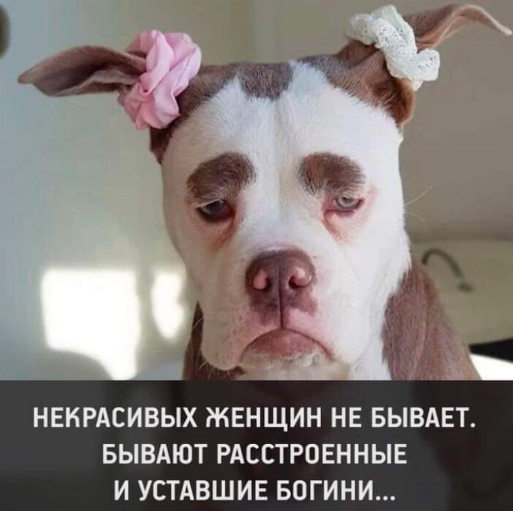 http://upforme.ru/uploads/000d/6b/61/4825/16629.jpg