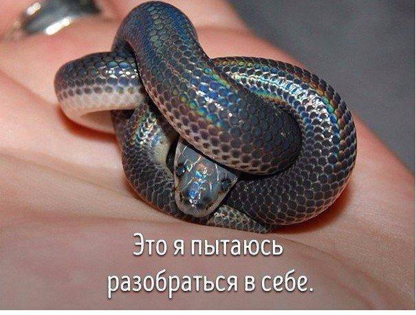 http://upforme.ru/uploads/000d/6b/61/4825/25242.jpg