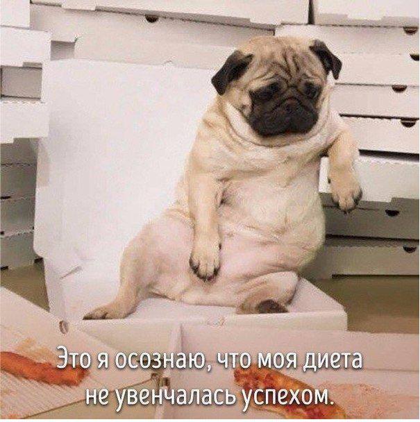 http://upforme.ru/uploads/000d/6b/61/4825/26404.jpg