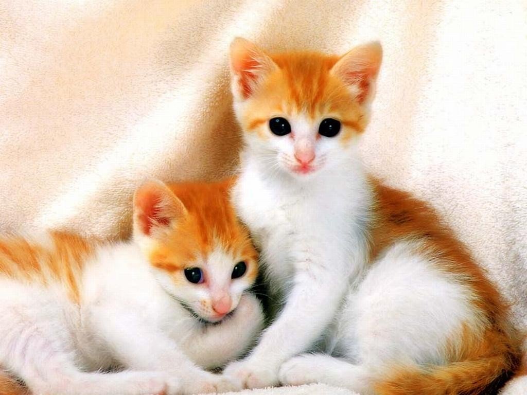 http://upforme.ru/uploads/000d/6b/61/4825/335214.jpg