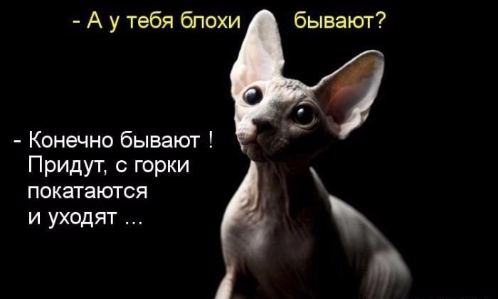 http://upforme.ru/uploads/000d/6b/61/4825/38454.jpg