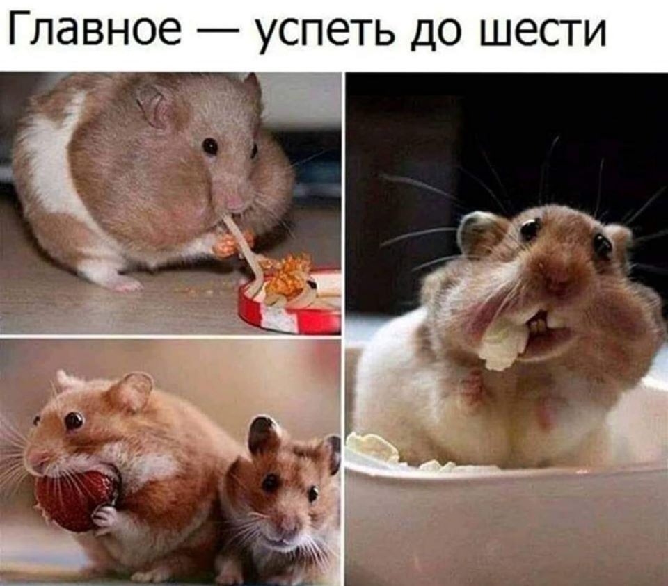 http://upforme.ru/uploads/000d/6b/61/4825/39736.jpg