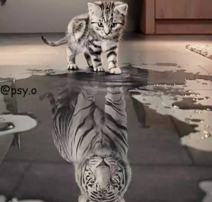 http://upforme.ru/uploads/000d/6b/61/4825/43322.jpg