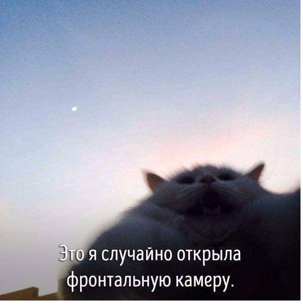 http://upforme.ru/uploads/000d/6b/61/4825/45961.jpg