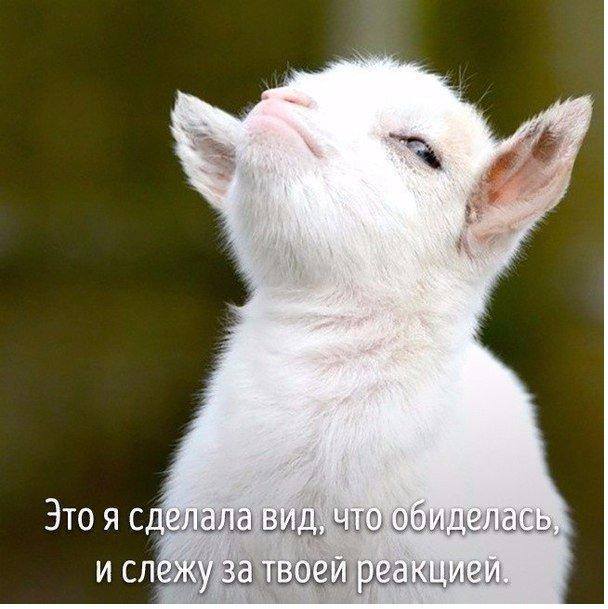 http://upforme.ru/uploads/000d/6b/61/4825/64045.jpg