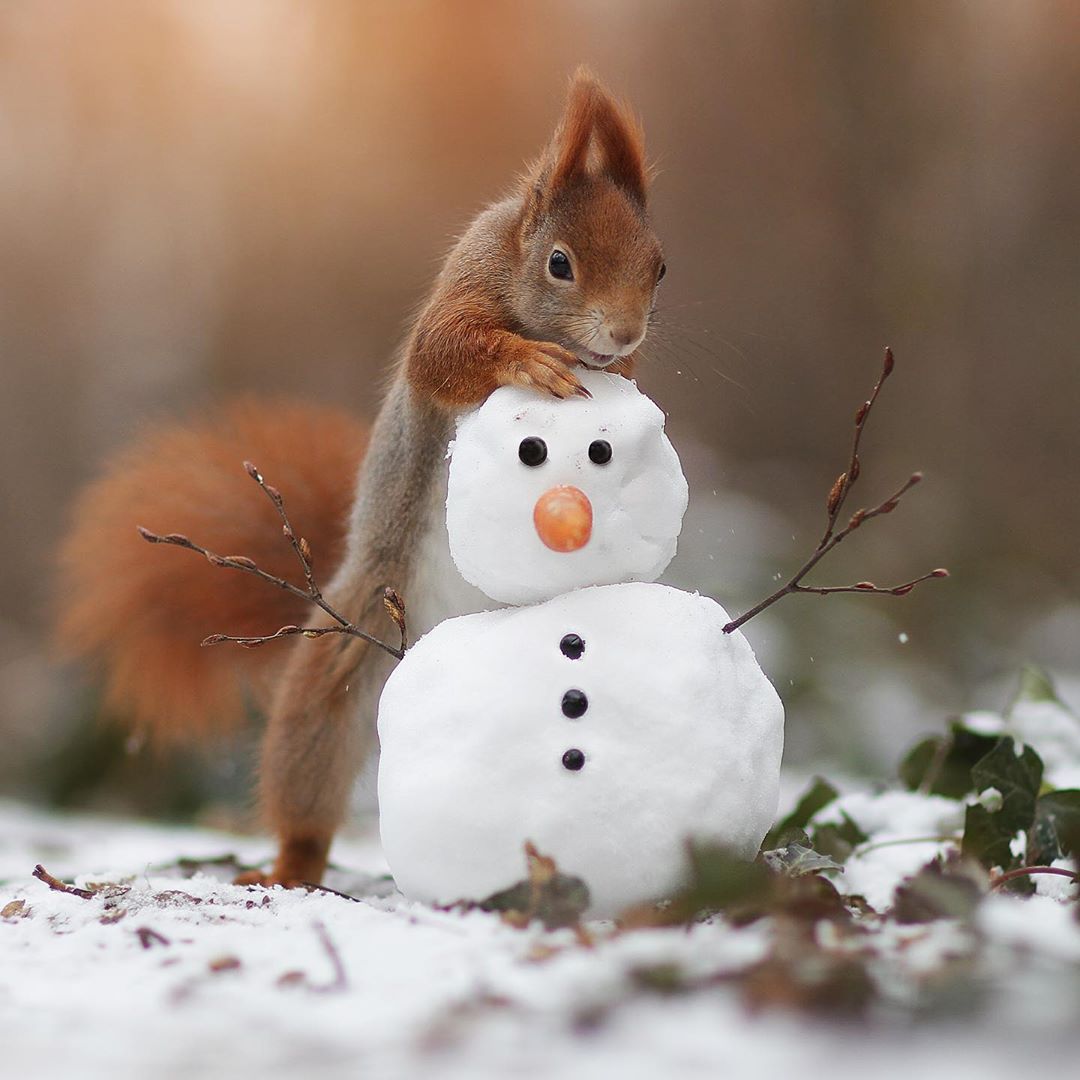 http://upforme.ru/uploads/000d/6b/61/4825/78798.jpg