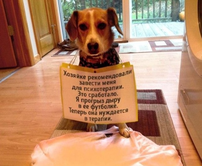 http://upforme.ru/uploads/000d/6b/61/4825/86723.jpg