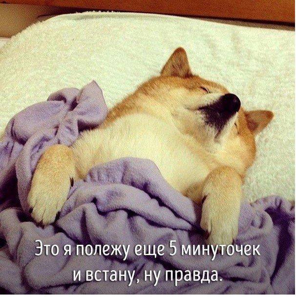 http://upforme.ru/uploads/000d/6b/61/4825/91742.jpg