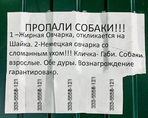 http://upforme.ru/uploads/000d/6b/61/4825/964463.jpg