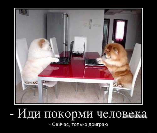 http://upforme.ru/uploads/000d/6b/61/4825/99399.jpg