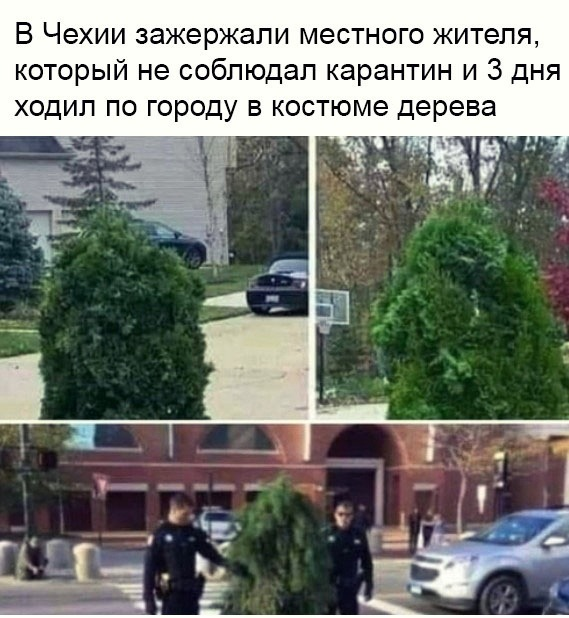 http://upforme.ru/uploads/000d/6b/61/4825/99772.png