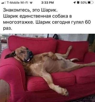 http://upforme.ru/uploads/000d/6b/61/4825/t21053.jpg
