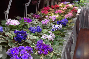 http://upforme.ru/uploads/000d/6b/61/4825/t37169.jpg