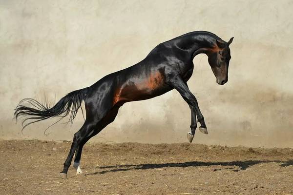http://upforme.ru/uploads/000d/6b/61/4825/t378964.jpg