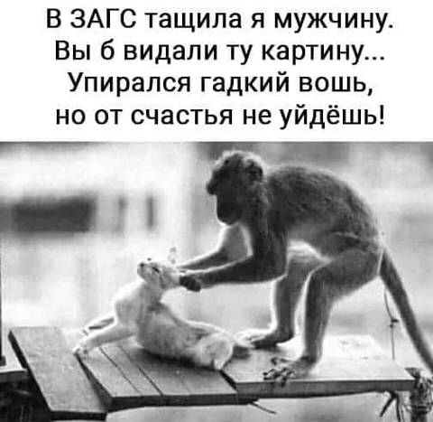 http://upforme.ru/uploads/000d/6b/61/4825/t434099.jpg