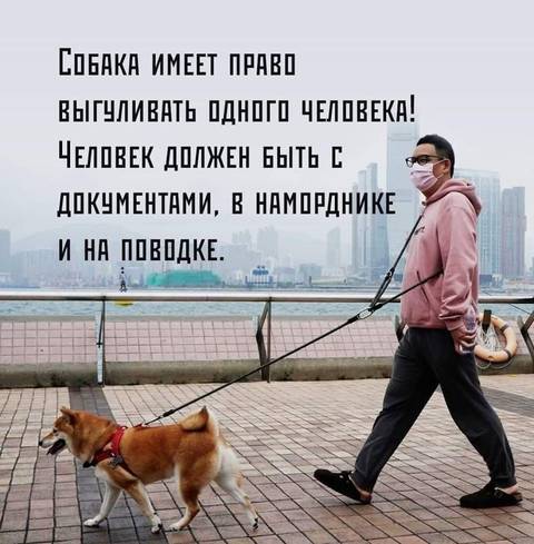 http://upforme.ru/uploads/000d/6b/61/4825/t447478.jpg