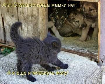 http://upforme.ru/uploads/000d/6b/61/4825/t62012.jpg