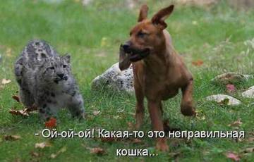 http://upforme.ru/uploads/000d/6b/61/4825/t76776.jpg