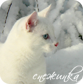 http://upforme.ru/uploads/000d/88/19/219-2.png