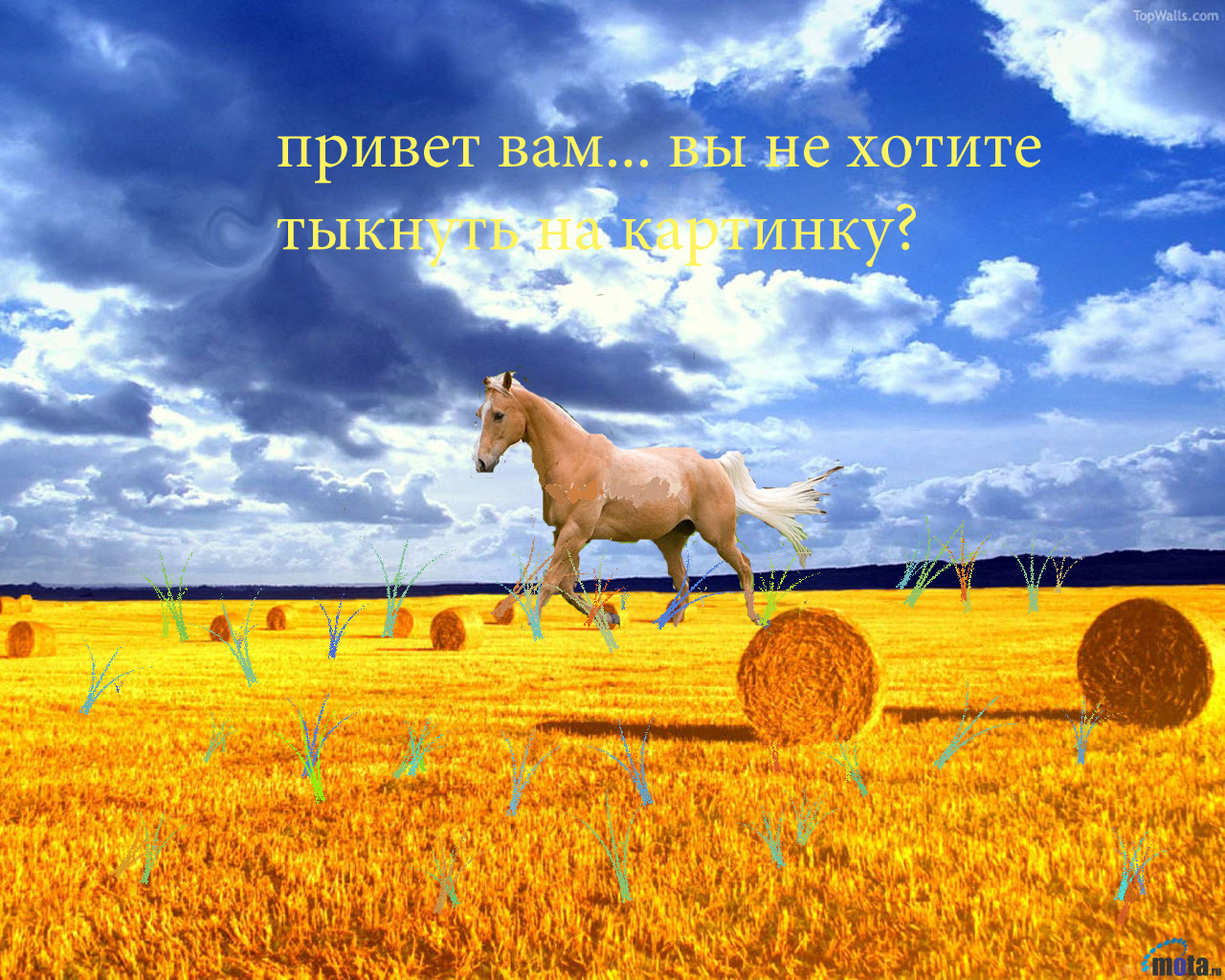 http://upforme.ru/uploads/000d/ab/67/135-1-f.jpg