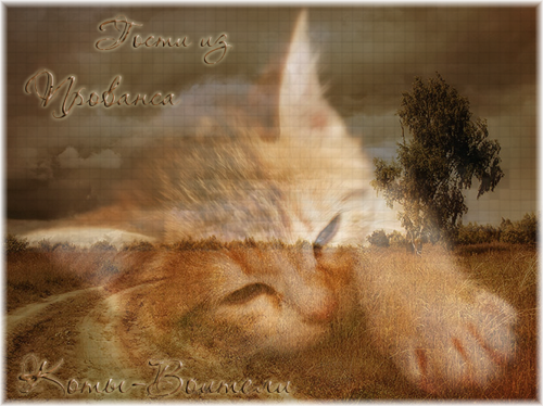 http://upforme.ru/uploads/000d/ae/c3/1121-1-f.png