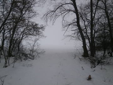 http://upforme.ru/uploads/000d/b5/96/1407/t29068.jpg