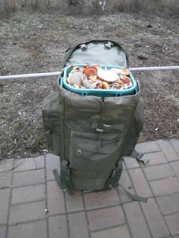 http://upforme.ru/uploads/000d/b5/96/1407/t86662.jpg