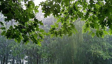 http://upforme.ru/uploads/000d/b5/96/1448/t16618.jpg