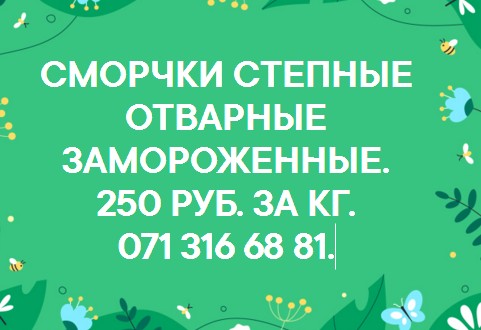 http://upforme.ru/uploads/000d/b5/96/2/794418.jpg
