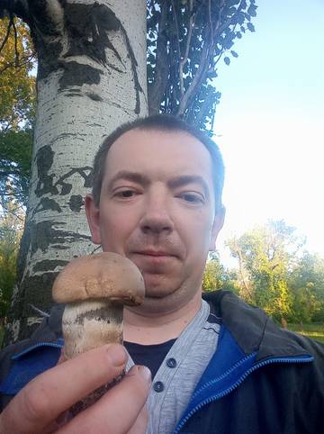 http://upforme.ru/uploads/000d/b5/96/2/t427236.jpg